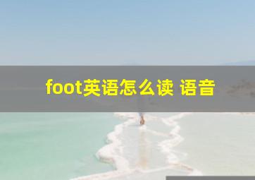 foot英语怎么读 语音